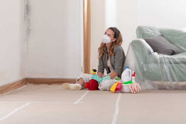Reliable Mold Remediation contractor in Stony Brook, NY by WQB Mold Removal
